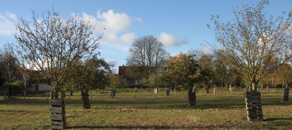 Земельный участок в Бранденбург, Германия № 83370 30