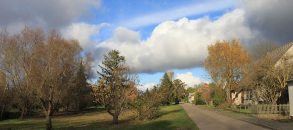 Земельный участок в Бранденбург, Германия № 83370 22