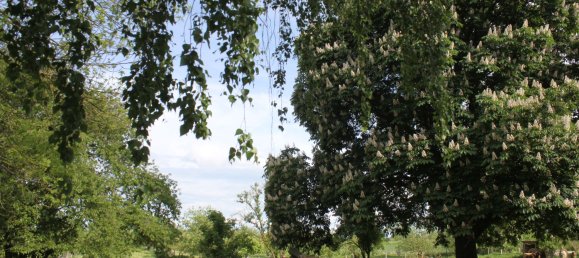 Земельный участок в Бранденбург, Германия № 83370 33