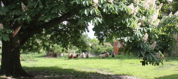 Земельный участок в Бранденбург, Германия № 83370 24