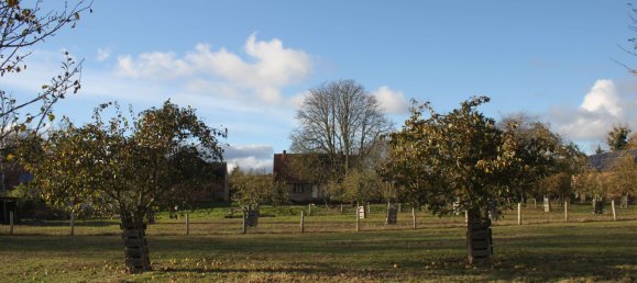 Земельный участок в Бранденбург, Германия № 83370 2