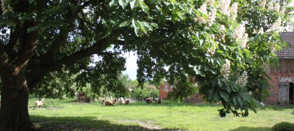 Земельный участок в Бранденбург, Германия № 83370 37