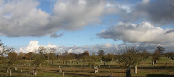 Земельный участок в Бранденбург, Германия № 83370 12