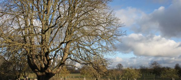 Земельный участок в Бранденбург, Германия № 83370 27