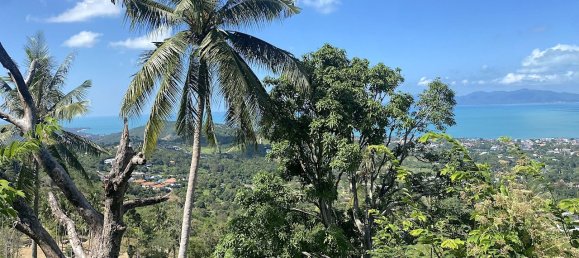 1600m² Commercial property in Ko Samui, Thailand No. 12297 6