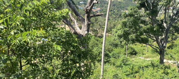 1600m² Commercial property in Ko Samui, Thailand No. 12297 8