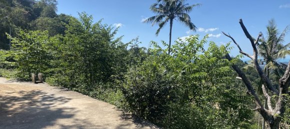 1600m² Commercial property in Ko Samui, Thailand No. 12297 2