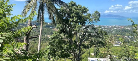 1600m² Commercial property in Ko Samui, Thailand No. 12297 5
