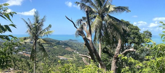 1600m² Commercial property in Ko Samui, Thailand No. 12297 4
