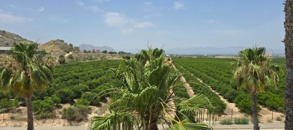 3 Schlafzimmer Villa in Algorfa, Spain, Nr. 178195 31