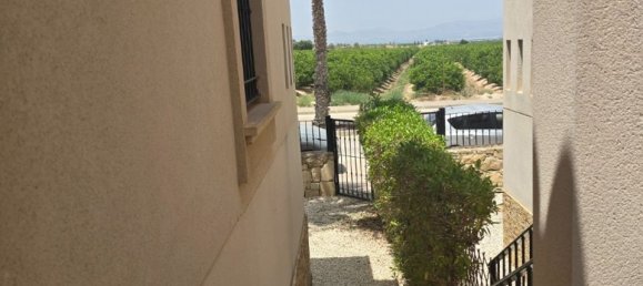 3 Schlafzimmer Villa in Algorfa, Spain, Nr. 178195 34