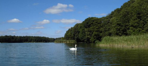 Apartamento T1 em Dahme-Spreewald, Germany N.º 23391 6