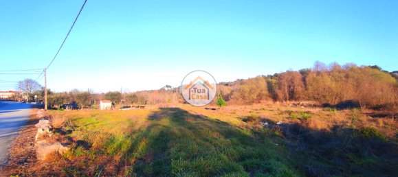 Grundstück in Viseu, Portugal 3770m², Nr. 63913 8