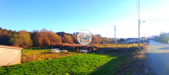 Grundstück in Viseu, Portugal 3770m², Nr. 63913 4