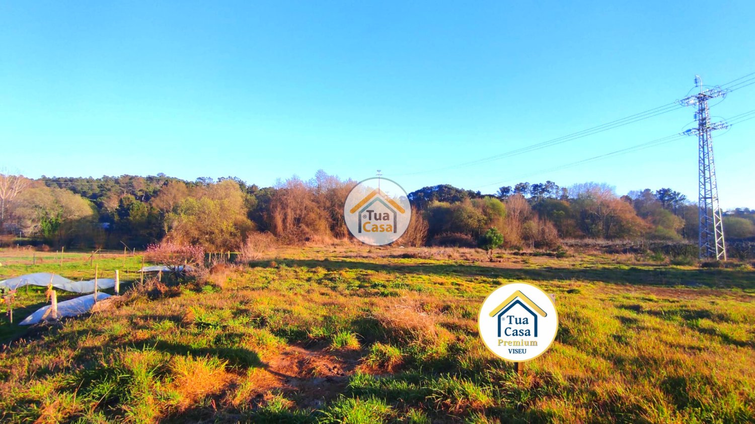 Grundstück in Viseu, Portugal 3770m², Nr. 63913