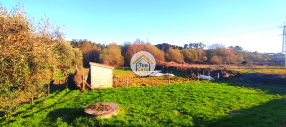 Grundstück in Viseu, Portugal 3770m², Nr. 63913 14