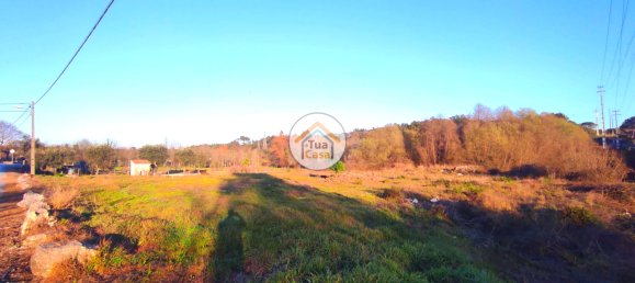 Grundstück in Viseu, Portugal 3770m², Nr. 63913 9