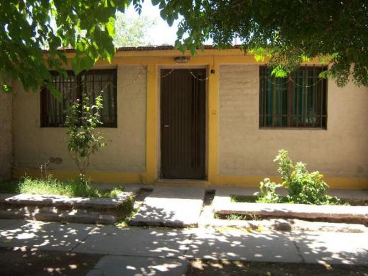 5 bedrooms House in Mendoza, Argentina No. 5876