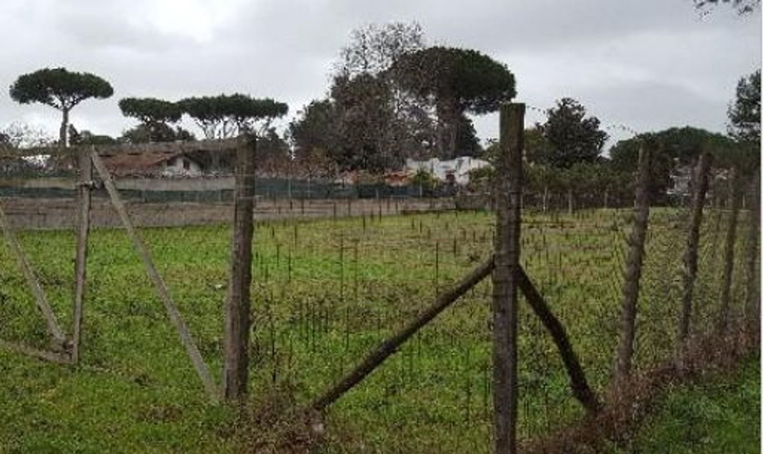 1050m² Land in Terracina, Italy No. 255959