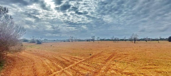 Grundstück in Campos, Spain, Nr. 168272 3