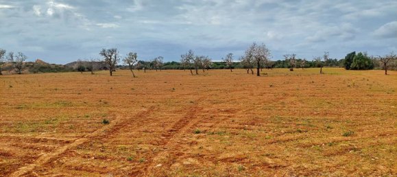 Grundstück in Campos, Spain, Nr. 168272 4