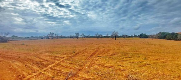 Grundstück in Campos, Spain, Nr. 168272 6