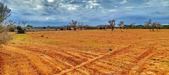 Grundstück in Campos, Spain, Nr. 168272 2