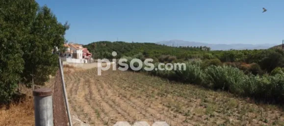 Земельный участок 1607м² в Альмайяте, Испания № 58821 32