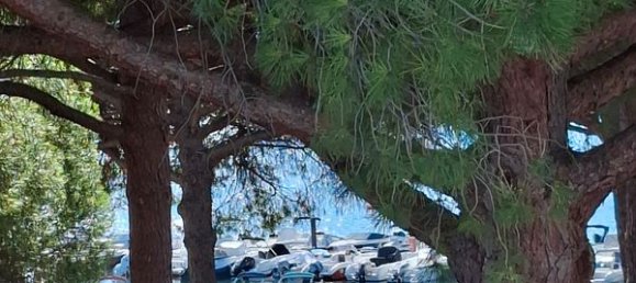 Estúdio em La Grande-Motte, France N.º 320342 3