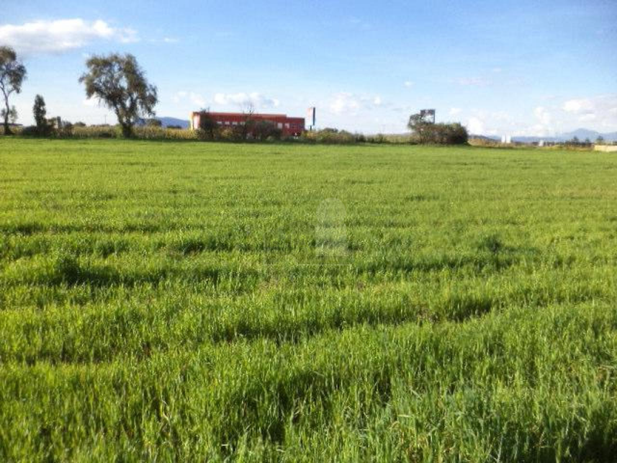  قطعة أرض في San Mateo Atenco, Mexico رقم 204309