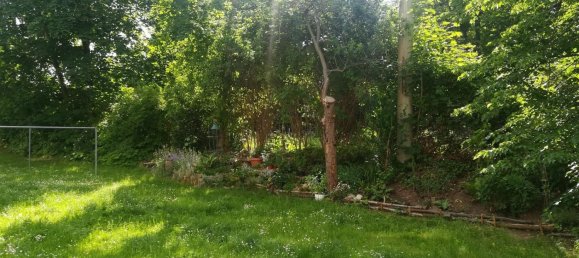 1 غرف نوم شقة في Dresden, Germany رقم 41894 3