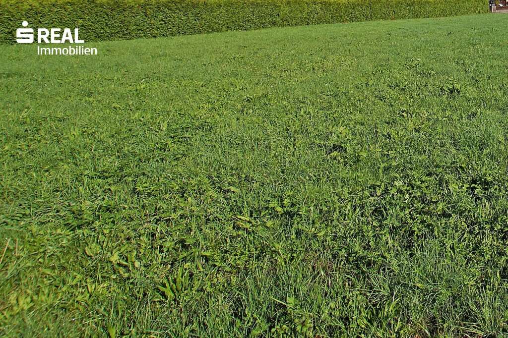  Land in Jennersdorf, Austria No. 24299