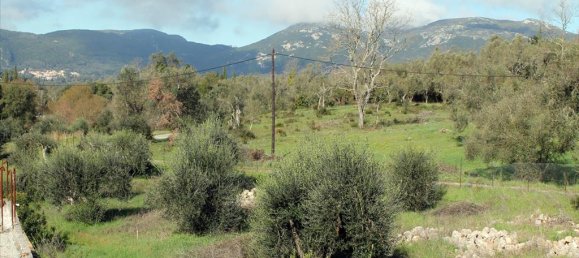 6000m² Hotel in Corfu, Greece No. 8017 10