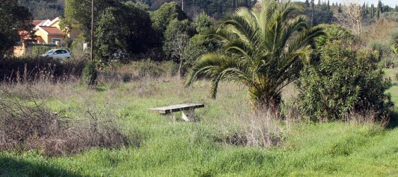 6000m² Hotel in Corfu, Greece No. 8017 13