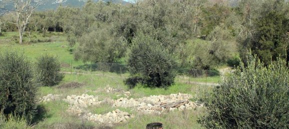 6000m² Hotel in Corfu, Greece No. 8017 11