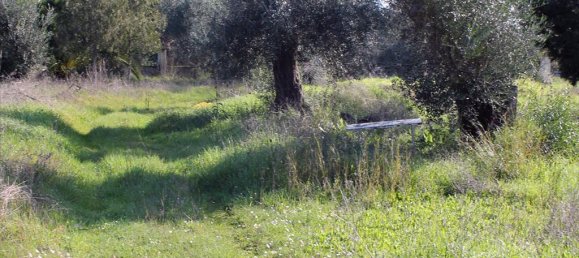 6000m² Hotel in Corfu, Greece No. 8017 12