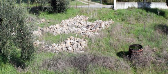 6000m² Hotel in Corfu, Greece No. 8017 6