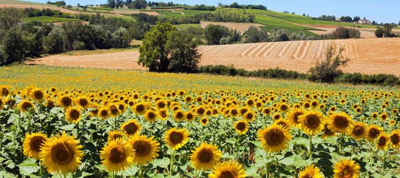 7 bedrooms Castles in Gibel, France No. 361603 23