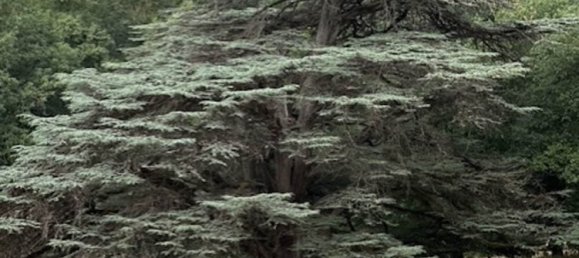 7 bedrooms Castles in Gibel, France No. 361603 19