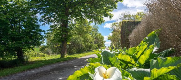 7 bedrooms Castles in Gibel, France No. 361603 22