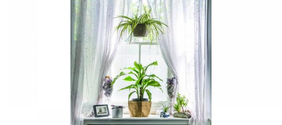 2 bedrooms House in Hamilton, Canada No. 398 11