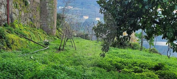 Casa de 2 dormitorios en Sao Cristovao de Nogueira, Portugal No. 161256 7