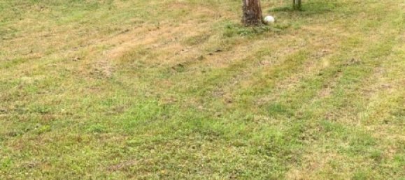 1 bedroom House in Trier-Saarburg, Germany No. 232475 4