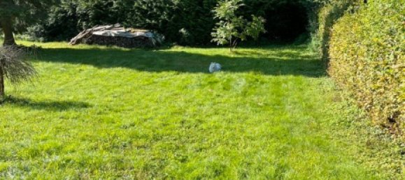 1 bedroom House in Trier-Saarburg, Germany No. 232475 13