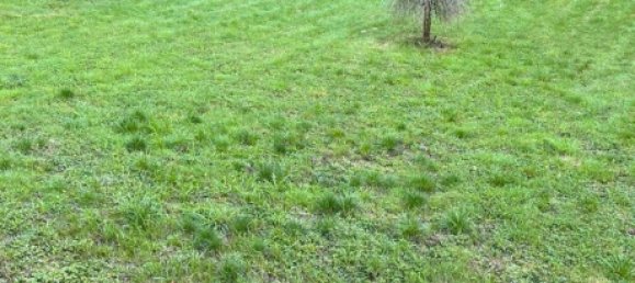 1 bedroom House in Trier-Saarburg, Germany No. 232475 11