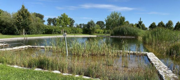 Studio in Fels am Wagram, Austria, Nr. 234405 18