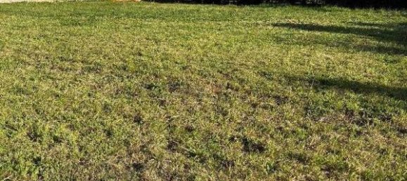 Terreno en Saint-Felix-Lauragais, France No. 114136 2