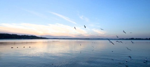 1 bedroom Hotel in Mecklenburgische Seenplatte, Germany No. 223632 12