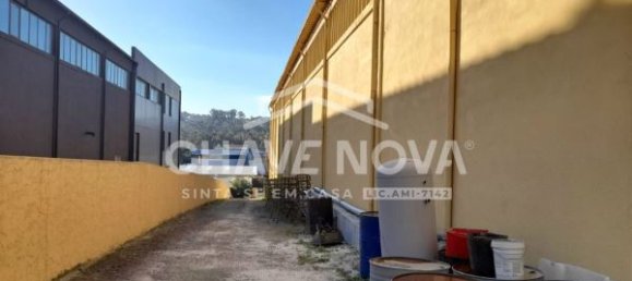 3200m² Warehouse in Sao Joao da Madeira, Portugal No. 63430 21