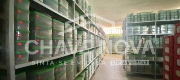 3200m² Warehouse in Sao Joao da Madeira, Portugal No. 63430 7